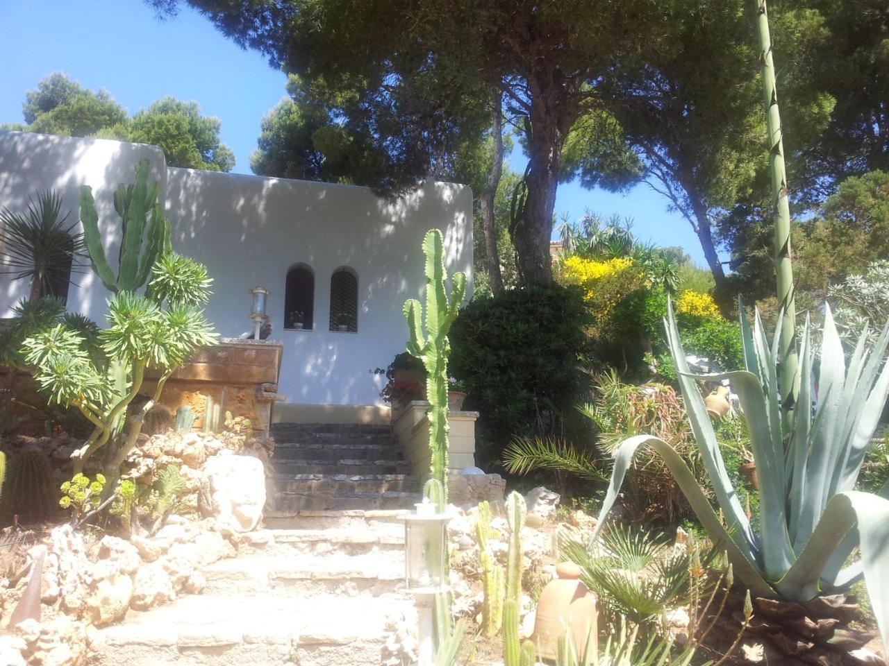Finca Cactus Mhm Ferienhaus