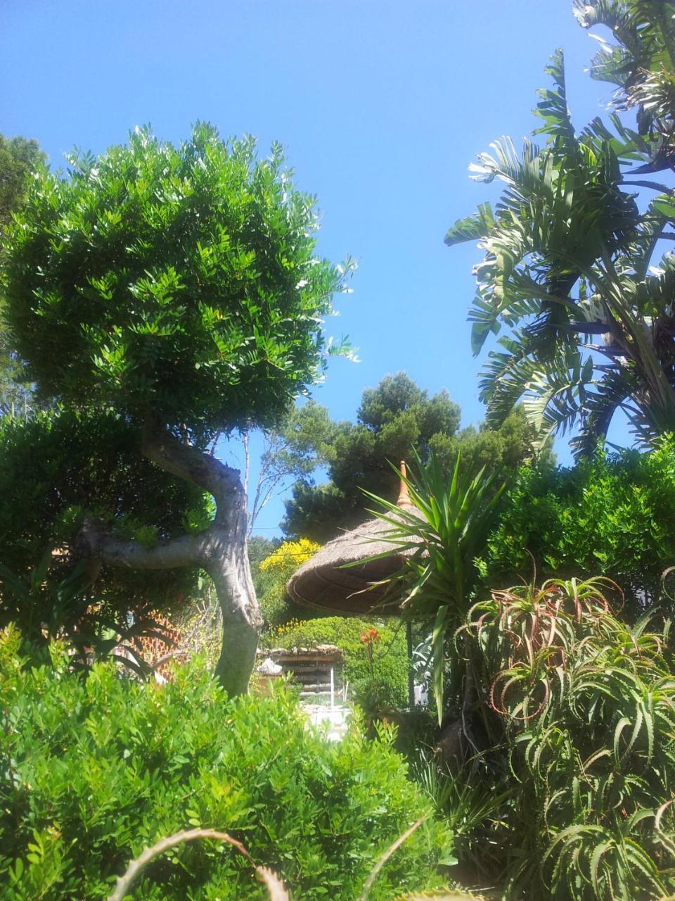 Ferienhaus Finca Cactus Mhm