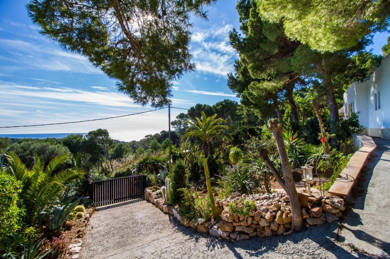 Ferienhaus Finca Cactus Mhm Cala Ratjada (Mallorca)