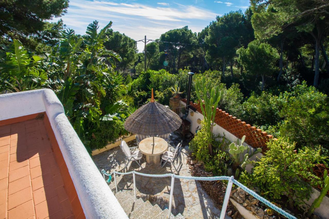 Ferienhaus Finca Cactus Mhm *